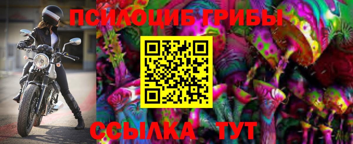 Тихвин  Псилоцибиновые грибы MAGIC MUSHROOMS  Вход с VPN 