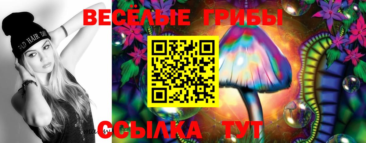 Галлюциногенные грибы Psilocybine cubensis Тихвин